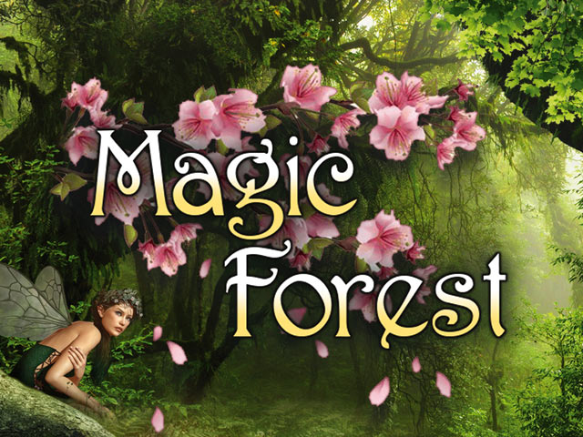 Magic Forest