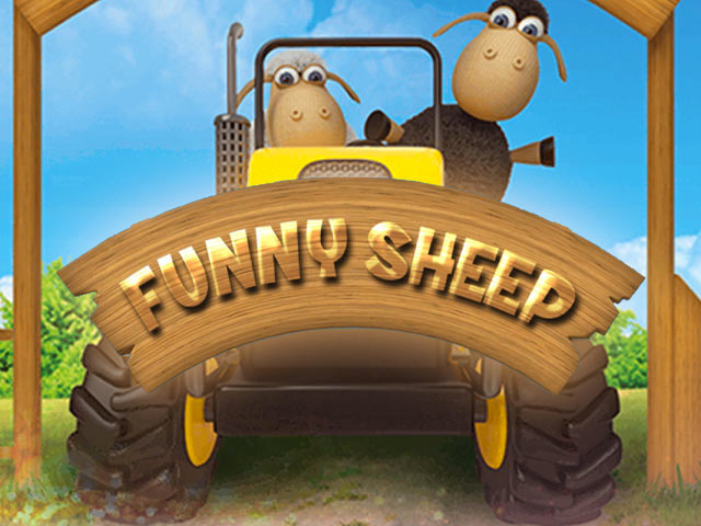 Funny Sheep