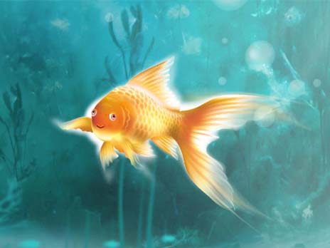 Zlatá rybka 